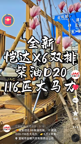 全新愷達(dá)X6柴油雙排，德威D20-116匹大馬力。